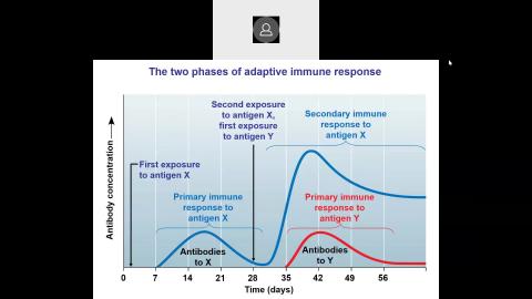 2022 05 19-Chapter 18 The immune system-2.mp4
