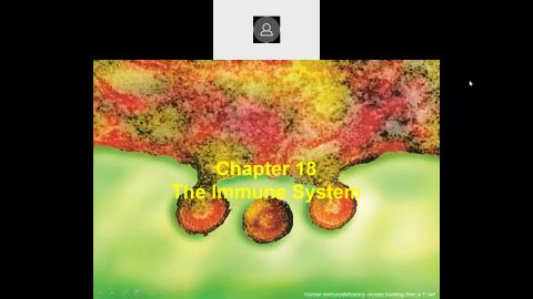 2022 05 19-Chapter 18 The immune system-1.mp4