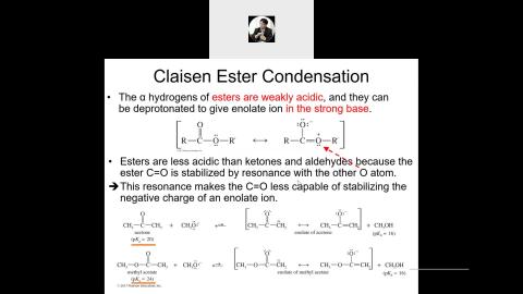 Organic Chemistry Ch22 section 12-14.mp4