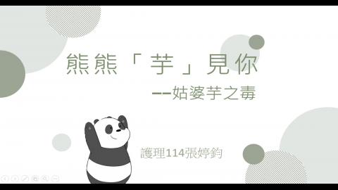 1102TIDL(課調老師:張雅雯教授)_護理系張婷鈞_姑婆芋