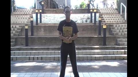 鄭子太極_肘抵錘到斜飛式.mp4