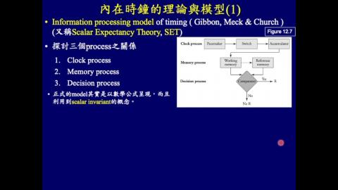 學習記憶神經生物學_week15_Ch12_Cognition (2/3)