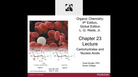 Organic Chemistry Ch23 section 1-5.mp4