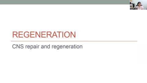 05-26-2022 Advanced Cell Biology Regeneration.mp4