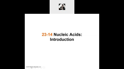 Organic Chemistry Ch23 section 14-17.mp4