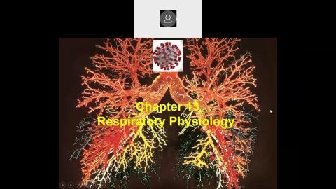 2022 05 26-Chapter 13 Respiratory Physiology-1.mp4