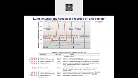 2022 05 26-Chapter 13 Respiratory Physiology-2.mp4