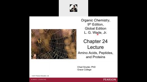 Organic Chemistry Ch24 section 1-7.mp4
