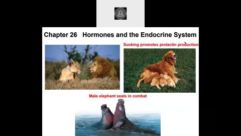 20210526-Chapter 26 Hormone and the endocrine system 2022-05-26-15-15-26.mp4