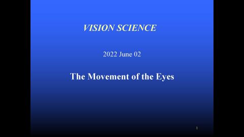 EyeMovement_Talk_All.mp4