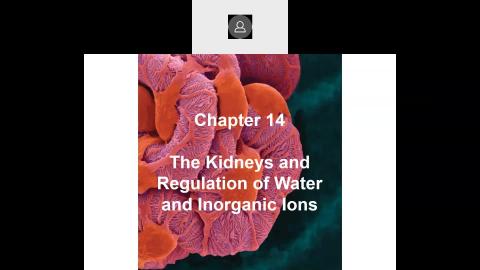 2022 06 02-Chapter 14 The kidneys and regulation of water and inorganic ions-1.mp4