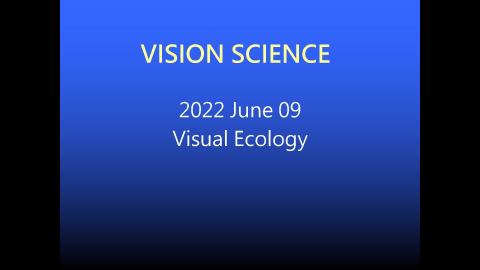 VisualEcology.mp4