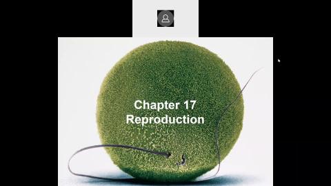 2022 06 09-Chapter 17 Reproduction-1.mp4