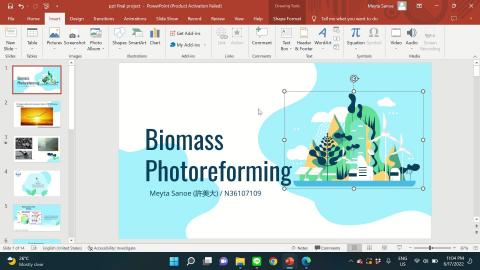 Biomass Photoreforming