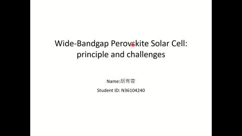 wide-bandgap perovskite solar cell :principle and challenges