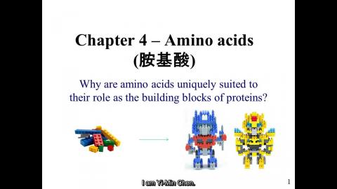 生化: Ch 04 - 英文字幕版 241025