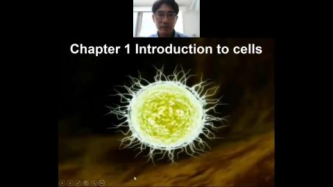 2022 09 07-Introduction to Cells.mp4