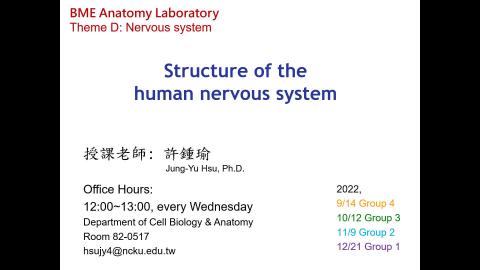 Theme D: Structure of the Human Nervous System