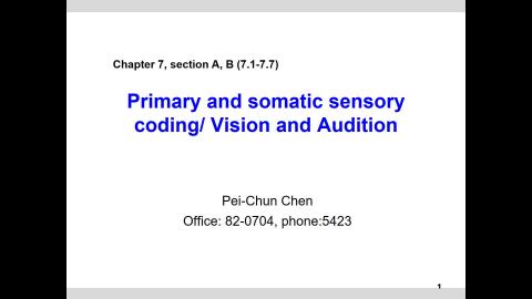 第四堂神經生理學