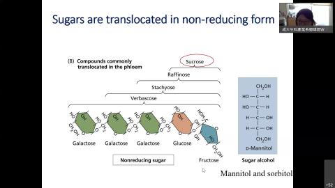 0930植生線上教學.mp4