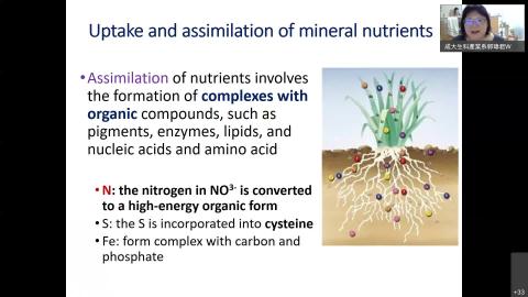 0930-2植生線上教學-II.mp4