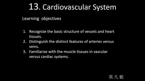 20211015 Histology－Cardiovascular system.mp4