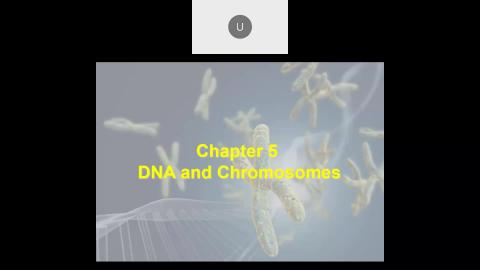 2022 10 05-DNA and Chromosomes.mp4
