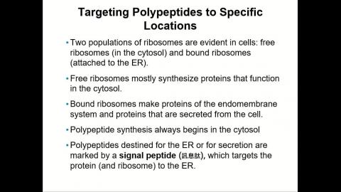Ch14上課時間未講解之內容期中考不考.mp4