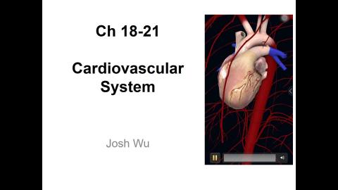 20221014 小大體.mp4