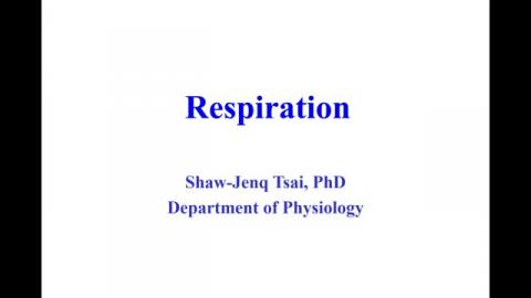 1012_呼吸生理 Part 1.mp4