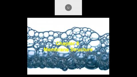 2022 10 26-Membrane Structure.mp4
