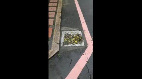 水溝蓋沖孔板排水實況