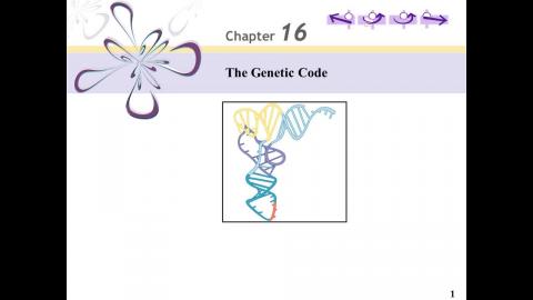分生: Ch16 - 英文版 221028