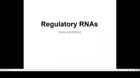 高等分生Block II-3 (Noncoding RNA)