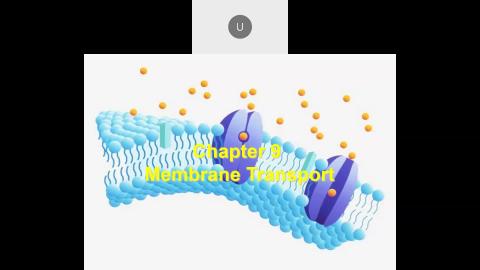 2022 11 02-Membrane Transport