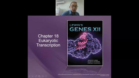 Eukaryotic Transcription 2021-11-04-09-14-46.mp4