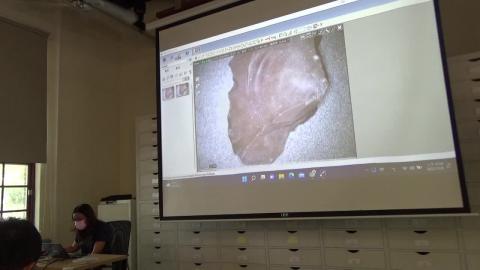 111-1 石器分析 (1111109)