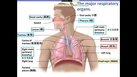 20221118 小大體.mp4