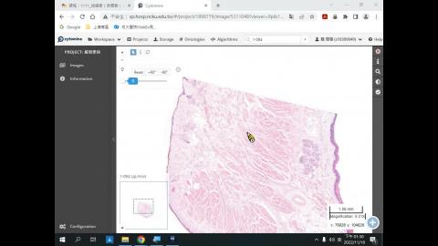 20221118 Histology 2nd demo.mp4