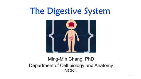 20221209 小大體.mp4