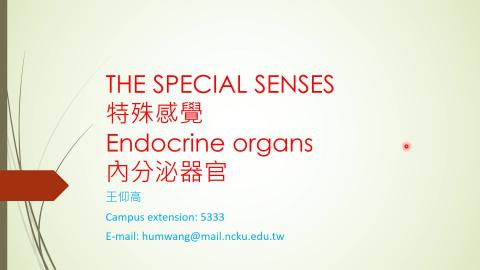 20221216 小大體.mp4