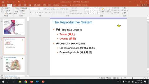 20221223 小大體.mp4