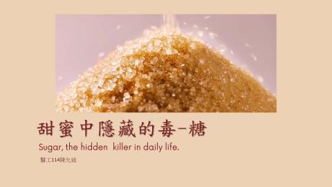 1112TIDL(課調老師:張雅雯教授)_生醫陳允迪_112.5.1_甜蜜中隱藏的毒—糖