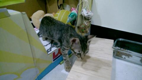 104.12.18. 喝完水又要爆衝了~~.mp4