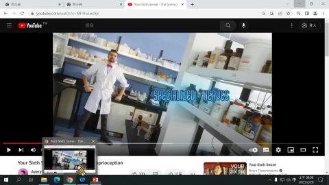 20230220 Neuroanatomy.mp4