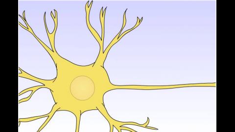 心藥_20230223_2_Action Potential