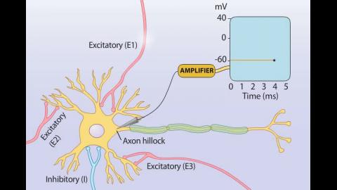 心藥_20230223_4_Spatial Summation