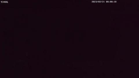 RIBE-93406_93406_{615406BE-005F-0001-984C-3DB5FD4E4AA9}_20230221000004001 1.avi