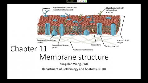 20230303 Cell Biology.mp4