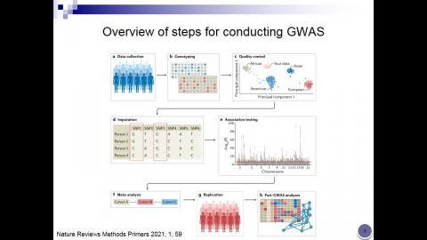 藥物基因體學特論 GWAS PRS.mp4